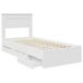 Estructura de cama individual para adultos Estructura de cama individual para adultos Blanco