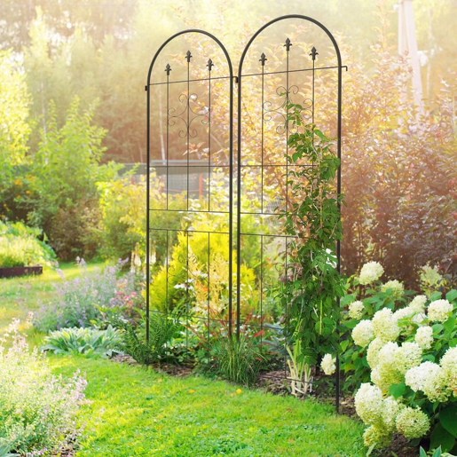 Outsunny Conjunto de 2 Treliças de Jardim Suportes para Plantas Trepadeiras com Estrutura de Aço para Frutas, Legumes, Flores e Decoração Exterior para Jardim ou Terraço 50x180 cm Preto