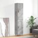 Aparador - Mueble de almacenamiento 34 Aparador - Mueble de almacenamiento 34 Gris