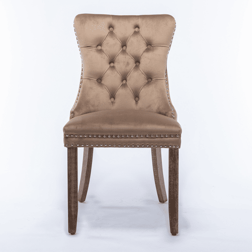 Cadeira de sala de jantar 2 unidades - Veludo acolchoado, pernas de madeira, tachas - Cáqui