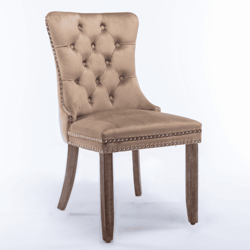 Cadeira de sala de jantar 2 unidades - Veludo acolchoado, pernas de madeira, tachas - Cáqui