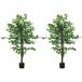 Ficus Artificiale PEVA HOMCOM, hogar - decoración Ficus Artificiale PEVA HOMCOM, hogar - decoración Verde