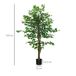 Ficus Artificiale PEVA HOMCOM, hogar - decoración Ficus Artificiale PEVA HOMCOM, hogar - decoración Verde