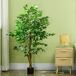 Ficus Artificiale PEVA HOMCOM, hogar - decoración Ficus Artificiale PEVA HOMCOM, hogar - decoración Verde