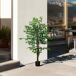 Ficus Artificiale PEVA HOMCOM, hogar - decoración Ficus Artificiale PEVA HOMCOM, hogar - decoración Verde