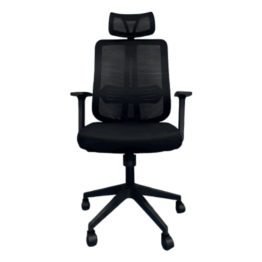Cadeira de escritório Ergovan, cadeira ergonômica para mesa, suporte lombar, apoio de cabeça, respirável, preta, 61x115-125x48 cm