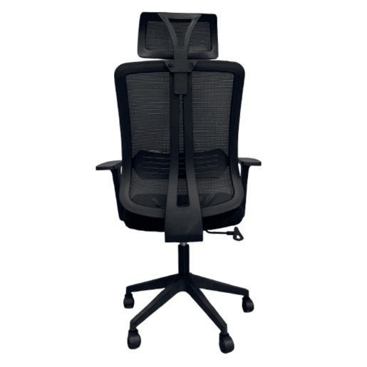 Cadeira de escritório Ergovan, cadeira ergonômica para mesa, suporte lombar, apoio de cabeça, respirável, preta, 61x115-125x48 cm