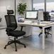 Silla de oficina Ergovan con ruedas y refuerzo lumbar Silla de oficina Ergovan con ruedas y refuerzo lumbar Negro