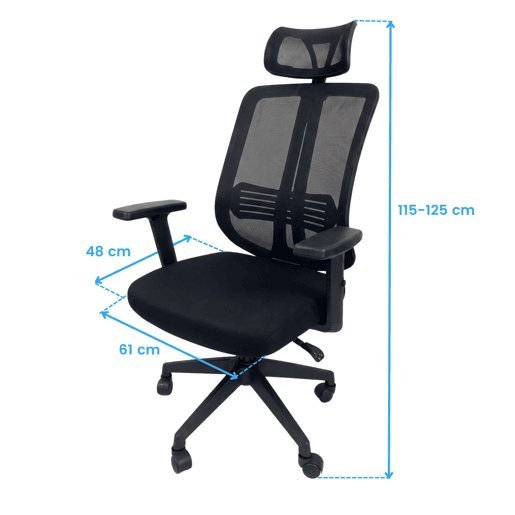 Cadeira de escritório Ergovan, cadeira ergonômica para mesa, suporte lombar, apoio de cabeça, respirável, preta, 61x115-125x48 cm