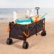 Aktive - Carro playa plegable XXL acero y Oxford 4 ruedas Aktive - Carro playa plegable XXL acero y Oxford 4 ruedas Negro