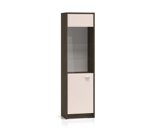 Vitrina 1 puerta Kaius Cachemira y Madera oscura