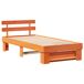 Estructura de cama simple para adultos 78x198 Estructura de cama simple para adultos 78x198 Marrón