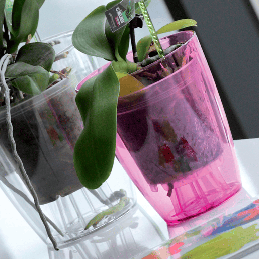 Vaso de plástico para orquídeas Vaso de plástico para orquídeas