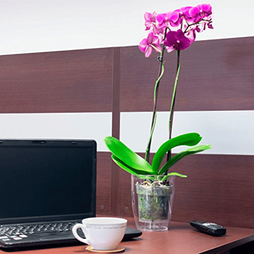 Vaso de plástico para orquídeas Vaso de plástico para orquídeas