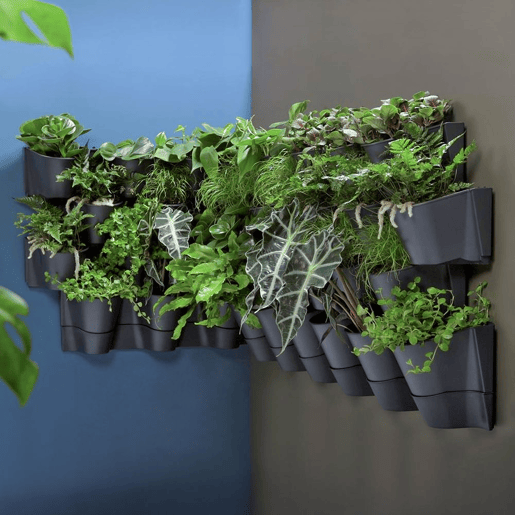 Vaso vertical de plástico Prosperplast Cascade Wall