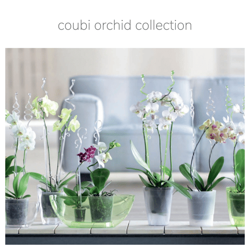 Vaso de orquídea Coubi