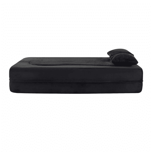 Sofá-cama futon de 2 lugares - dobrável, sem montagem, compactado, multifuncional para colocar no chão - preto
