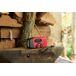 Radio Solar de Emergencia FM/AM portátil Función SOS RT260R Radio Solar de Emergencia FM/AM portátil Función SOS RT260R Negro/ Rojo