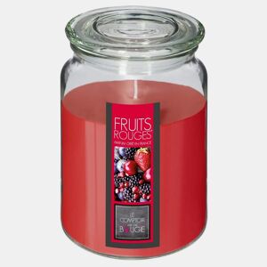 WELL HOME - Vela Aromática de Frutas Vermelhas