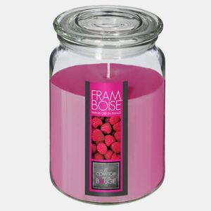 WELL HOME - Vela Aromática de Framboesa