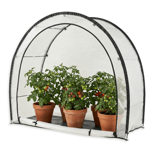 Estufa de tomate em folha Larshasas plástico 180x80x170 cm Transparente en.casa
