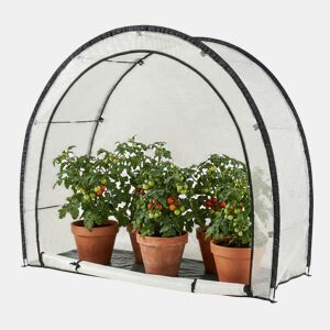 Estufa de tomate em folha Larshasas plástico 180x80x170 cm Transparente en.casa