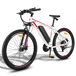 Bicicleta Eléctrica FAFREES F28 MT - 250W Bicicleta Eléctrica FAFREES F28 MT - 250W Blanco/ Rojo