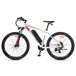 Bicicleta Eléctrica FAFREES F28 MT - 250W Bicicleta Eléctrica FAFREES F28 MT - 250W Blanco/ Rojo