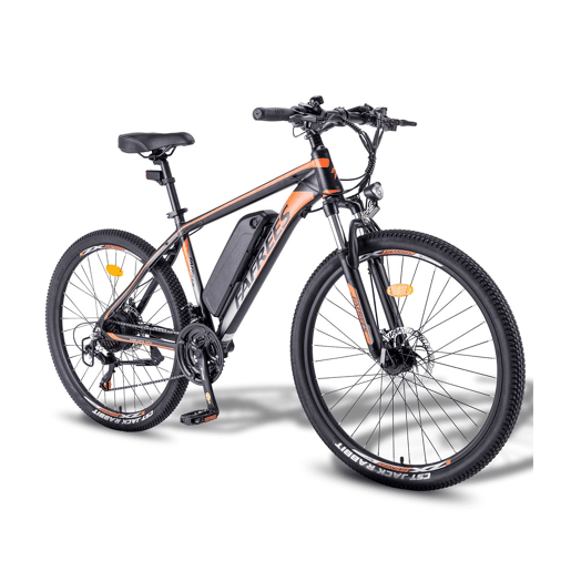 Electric Bike FAFREES Hailong One - Motor 250W Bateria 36V13.5AH Pneu 26 Freio a disco mecânico - Preto