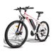 Electric Bike FAFREES Hailong One - Motor 250W Electric Bike FAFREES Hailong One - Motor 250W Blanco