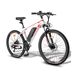Electric Bike FAFREES Hailong One - Motor 250W Electric Bike FAFREES Hailong One - Motor 250W Blanco