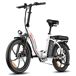 FAFREES F20 Bicicleta Eléctrica - Motor 250W FAFREES F20 Bicicleta Eléctrica - Motor 250W Blanco