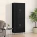 Aparador alto - Mueble de almacenamiento 2 pcs Aparador alto - Mueble de almacenamiento 2 pcs Negro