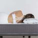 Almohadas Copos Viscoelástica Carbono Nalui Almohadas Copos Viscoelástica Carbono Nalui Blanco