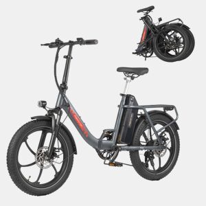 Bicicleta Elétrica MAXTURN MULE - Motor 250W Bateria 48V20AH 20 Travão A Disco Mecânico - Cinza
