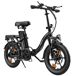 Bicicleta Eléctrica FAFREES F20+ Pro - Motor 250W Bicicleta Eléctrica FAFREES F20+ Pro - Motor 250W Negro