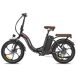 Bicicleta Eléctrica FAFREES F20+ Pro - Motor 250W Bicicleta Eléctrica FAFREES F20+ Pro - Motor 250W Negro