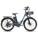 FAFREES F26 Lasting Bicicleta Eléctrica - Motor 250W FAFREES F26 Lasting Bicicleta Eléctrica - Motor 250W Azul