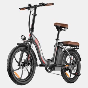 Bicicleta Elétrica FAFREES F20 Pro - Motor 250W Bateria 36V20Ah Pneus De 20u201D Travões A Disco Mecânicos - Cinza Gunmetal