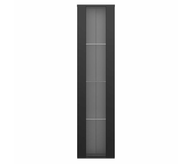 Vitrina multifuncional 40x29x170 cm - panel de vidrio, luz led con cambio de color, control remoto, diseño sencillo - negro
