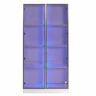 Vitrina moderna com luzes LED em 16 cores - A. 160 cm - 2 portas com prateleiras extraÃveis - Transparente