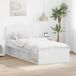 Estructura de cama individual para adultos Estructura de cama individual para adultos Blanco