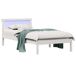 Estructura de cama individual para adultos Estructura de cama individual para adultos Blanco