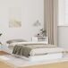 Estructura de cama individual para adultos Estructura de cama individual para adultos Blanco