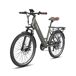 FAFREES F26 PRO E-bike - Motor 250W FAFREES F26 PRO E-bike - Motor 250W Gris