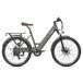 FAFREES F26 PRO E-bike - Motor 250W FAFREES F26 PRO E-bike - Motor 250W Gris