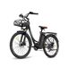 FAFREES F26 Lasting Bicicleta Eléctrica - Motor 250W FAFREES F26 Lasting Bicicleta Eléctrica - Motor 250W Negro