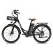 FAFREES F26 Lasting Bicicleta Eléctrica - Motor 250W FAFREES F26 Lasting Bicicleta Eléctrica - Motor 250W Negro