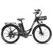FAFREES F26 Lasting Bicicleta Eléctrica - Motor 250W FAFREES F26 Lasting Bicicleta Eléctrica - Motor 250W Negro