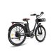 FAFREES F26 Lasting Bicicleta Eléctrica - Motor 250W FAFREES F26 Lasting Bicicleta Eléctrica - Motor 250W Negro